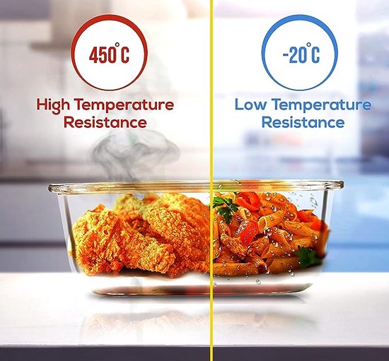 Avtoit | GlassGuard Bento Lunchbox – Borosilicate Glass