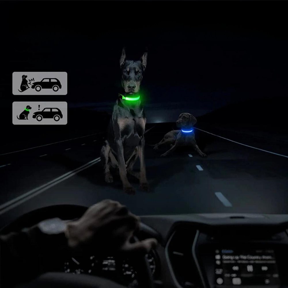 GlowGuard • AirTag Dog Collar