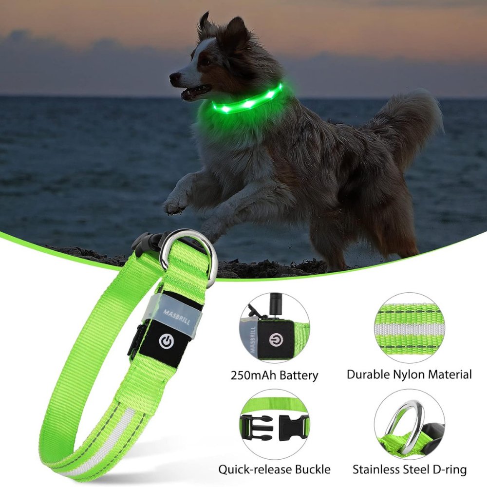GlowGuard • AirTag Dog Collar