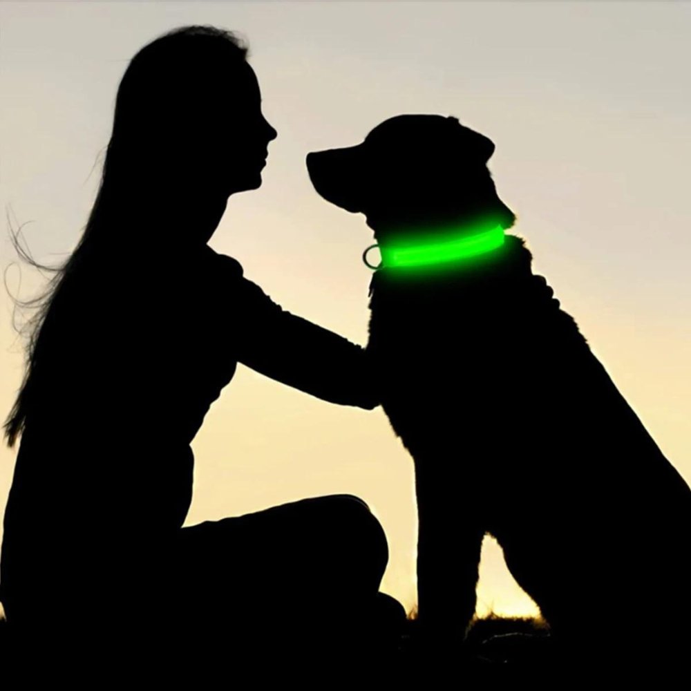 GlowGuard • AirTag Dog Collar