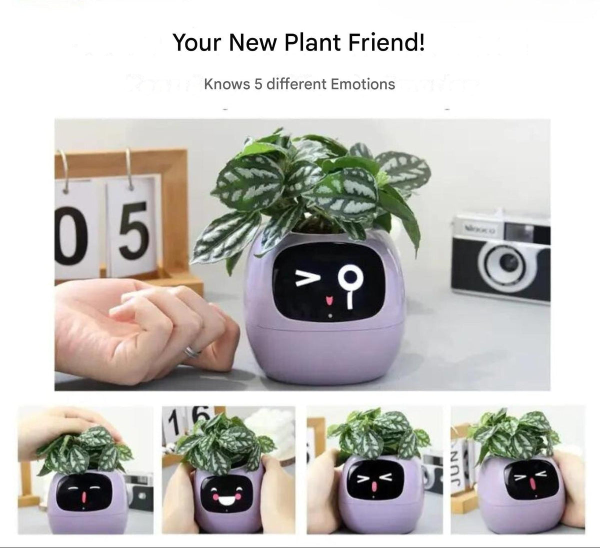 Avtoit | GreenBuddy SmartPot - Automatic Smart Planter