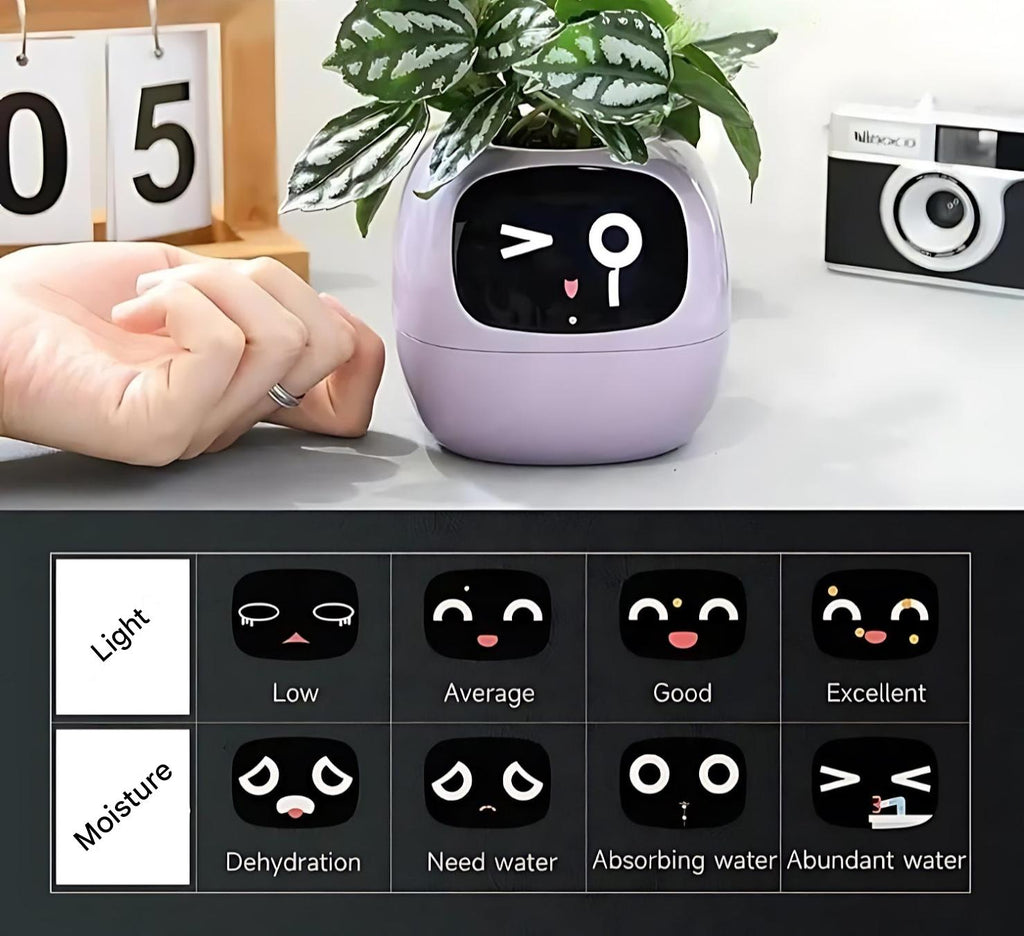 Avtoit | GreenBuddy SmartPot - Automatic Smart Planter