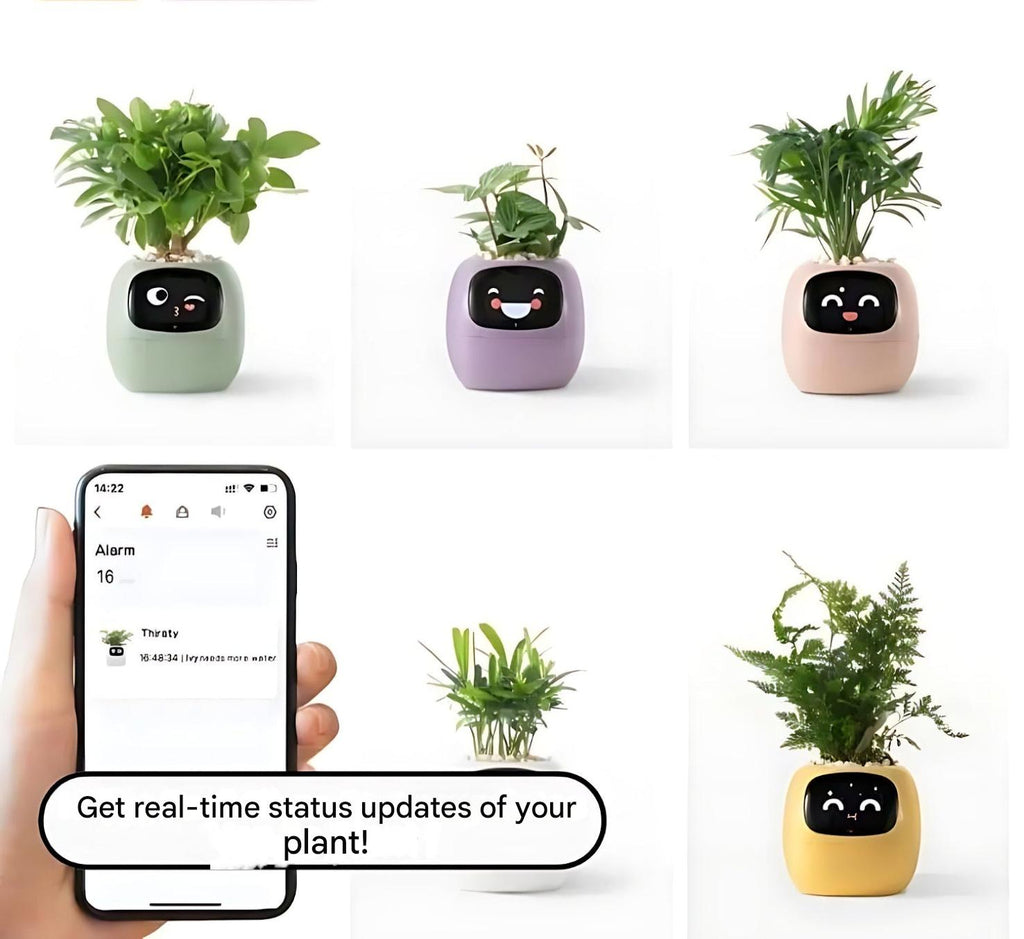Avtoit | GreenBuddy SmartPot - Automatic Smart Planter