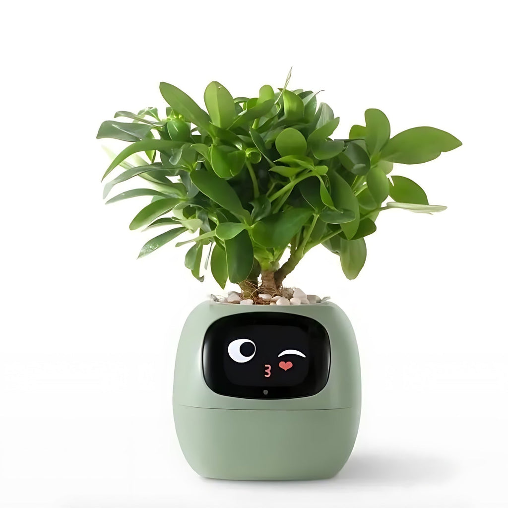 Avtoit | GreenBuddy SmartPot - Automatic Smart Planter
