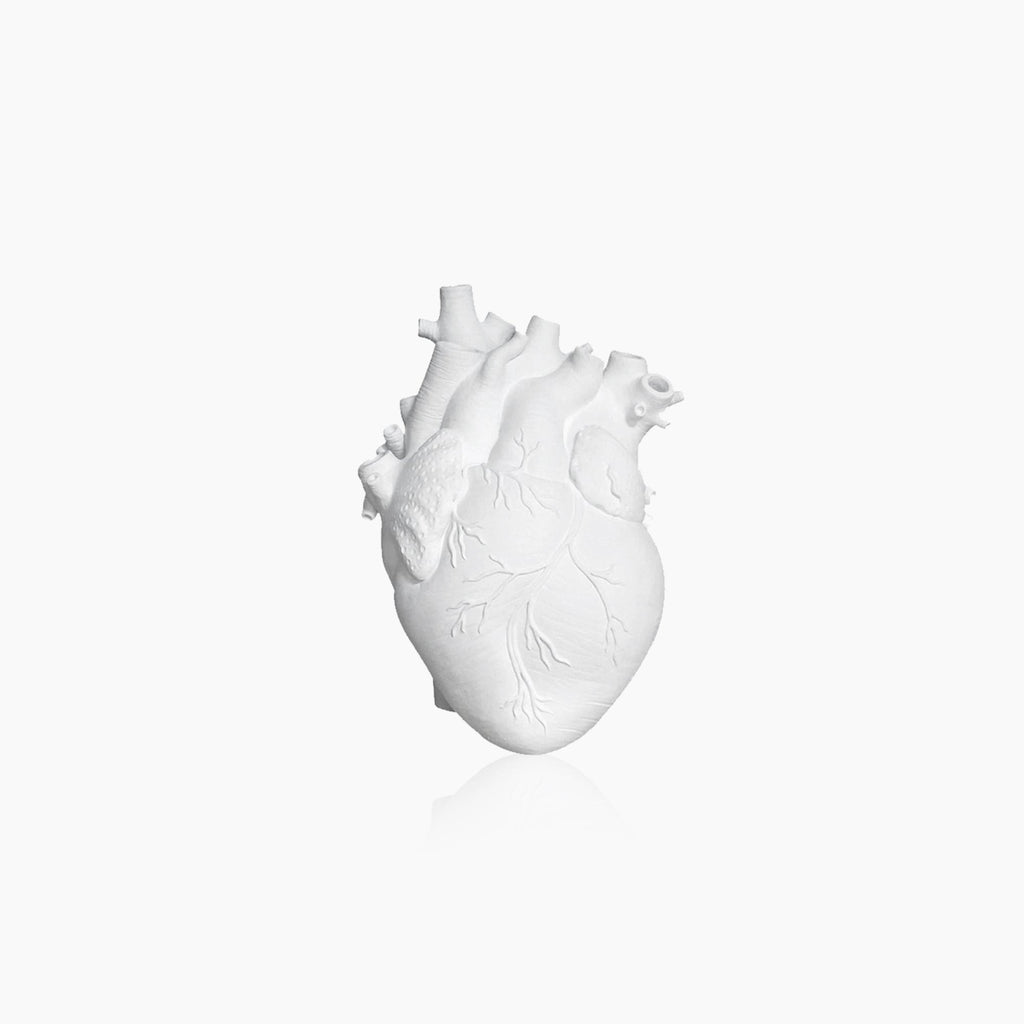 Avtoit | Heart Dry Plants Artificial Vase