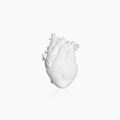 Avtoit | Heart Dry Plants Artificial Vase