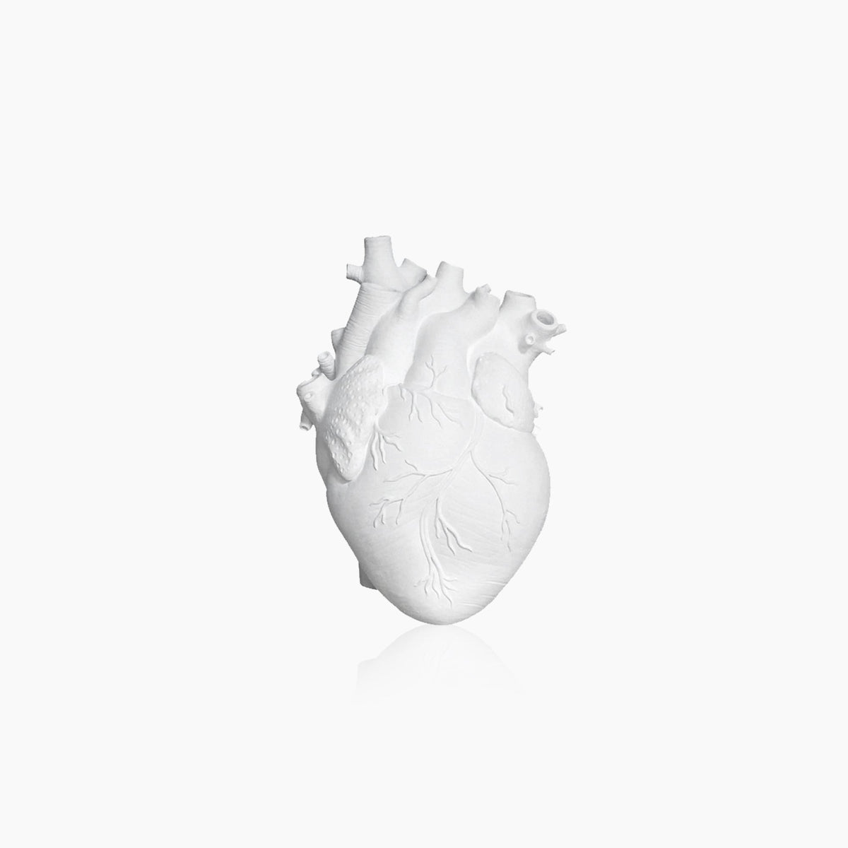 Avtoit | Heart Dry Plants Artificial Vase