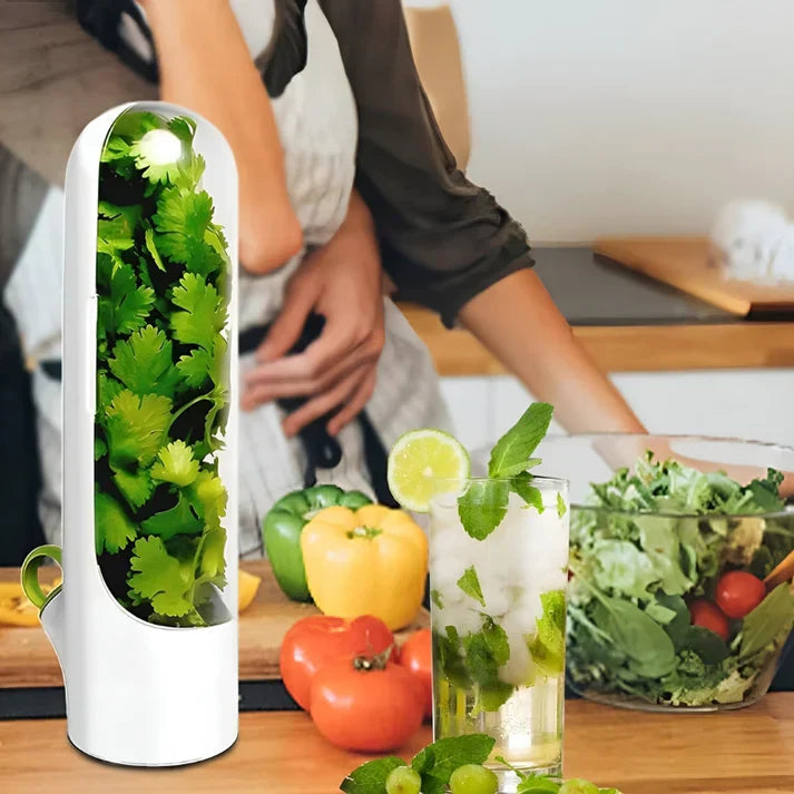 Avtoit | Herb Storage Box - FreshKeep