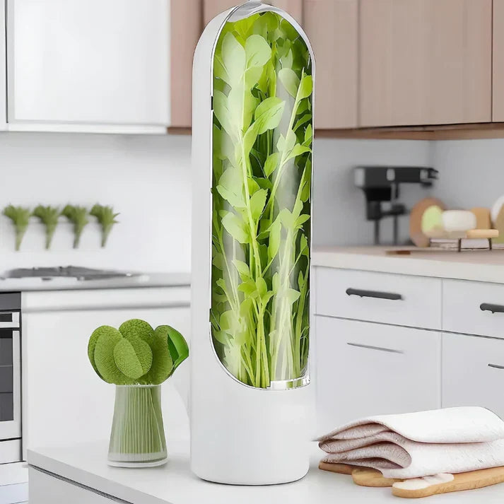 Avtoit | Herb Storage Box - FreshKeep