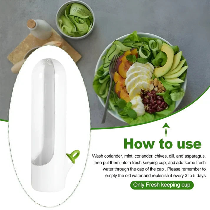 Avtoit | Herb Storage Box - FreshKeep