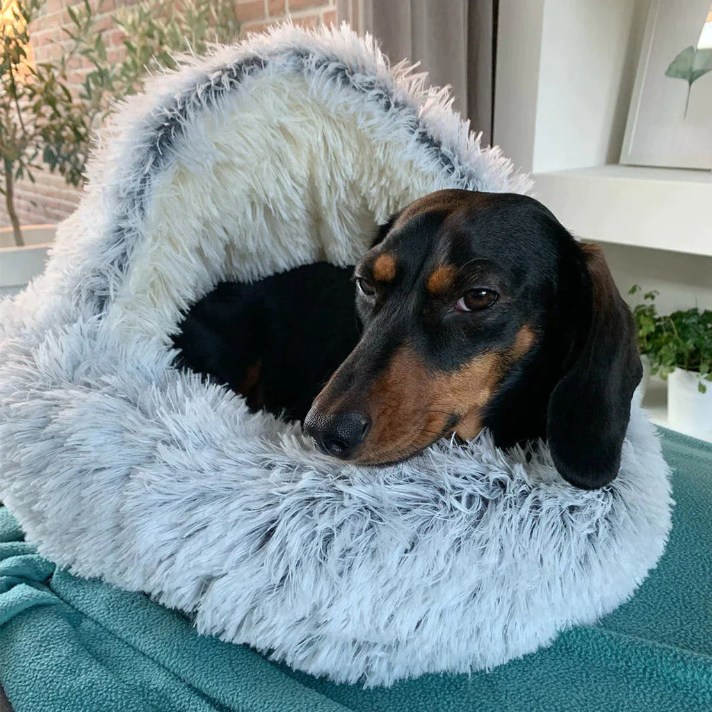 Avtoit | Luxury Calming Dog Bed – Soft, Supportive & Stress-Relieving Pet Bed for Dogs