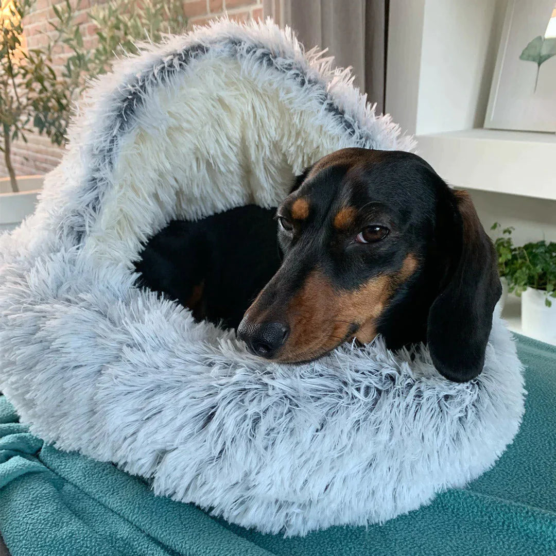 Avtoit | Luxury Calming Dog Bed – Soft, Supportive & Stress-Relieving Pet Bed for Dogs