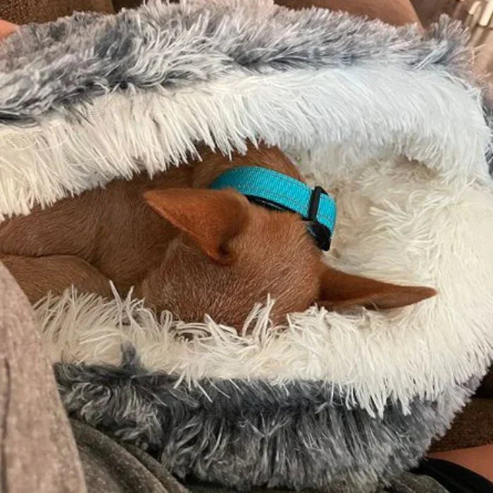 Avtoit | Luxury Calming Dog Bed – Soft, Supportive & Stress-Relieving Pet Bed for Dogs