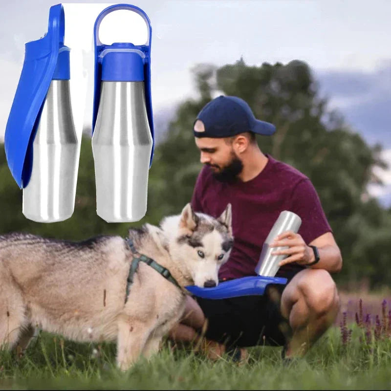 Avtoit | Insulated Dog Water Bottle | Stainless Steel, Leak-Proof & Perfect for Travel and Outdoor Adventures