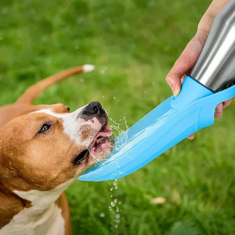 Avtoit | Insulated Dog Water Bottle | Stainless Steel, Leak-Proof & Perfect for Travel and Outdoor Adventures