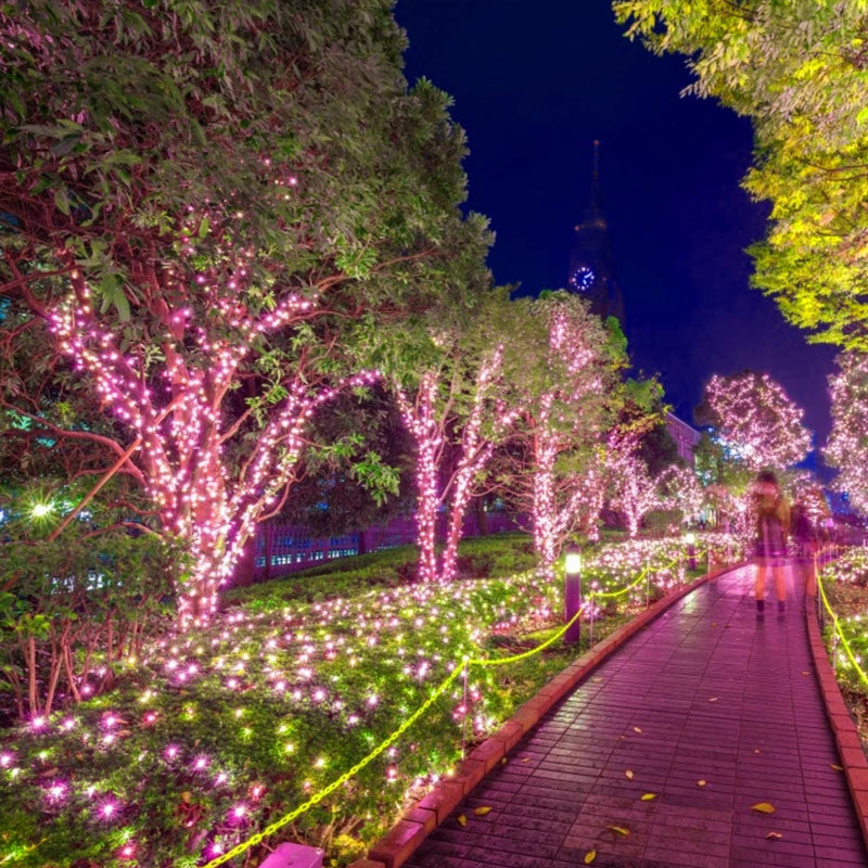 Avtoit | Solar string lights for outdoor use | Waterproof solar garden lights