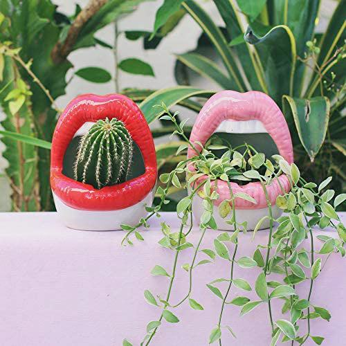 Avtoit | Lips Flower Pot