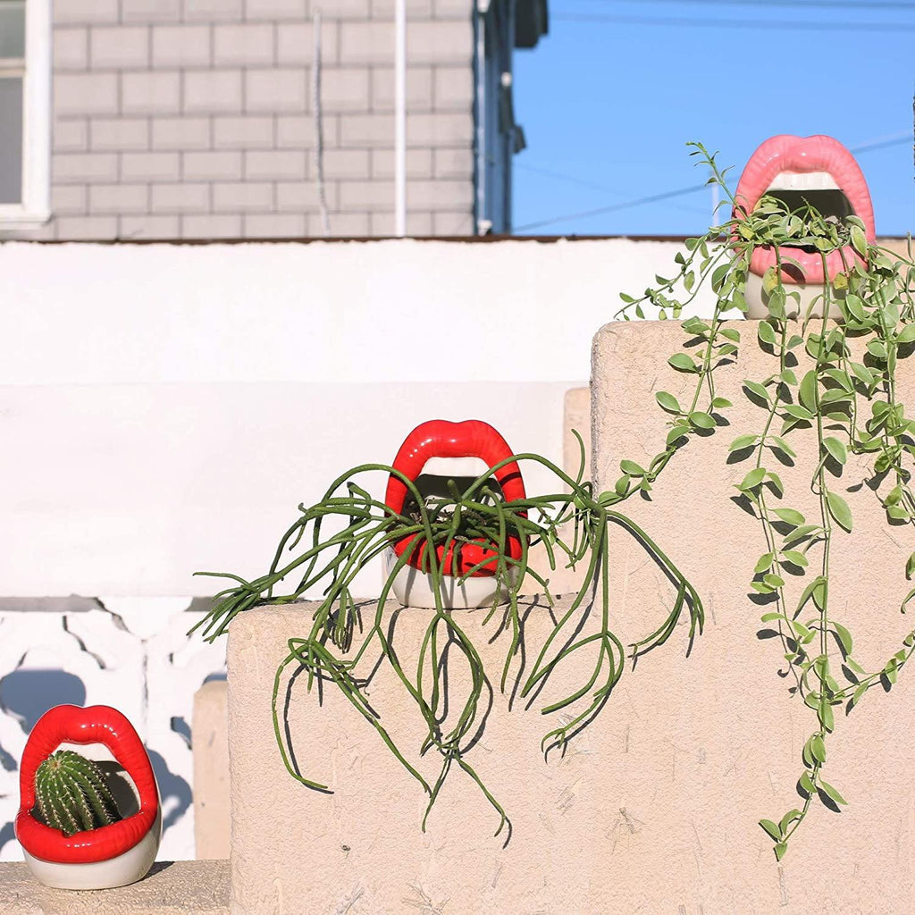 Avtoit | Lips Flower Pot