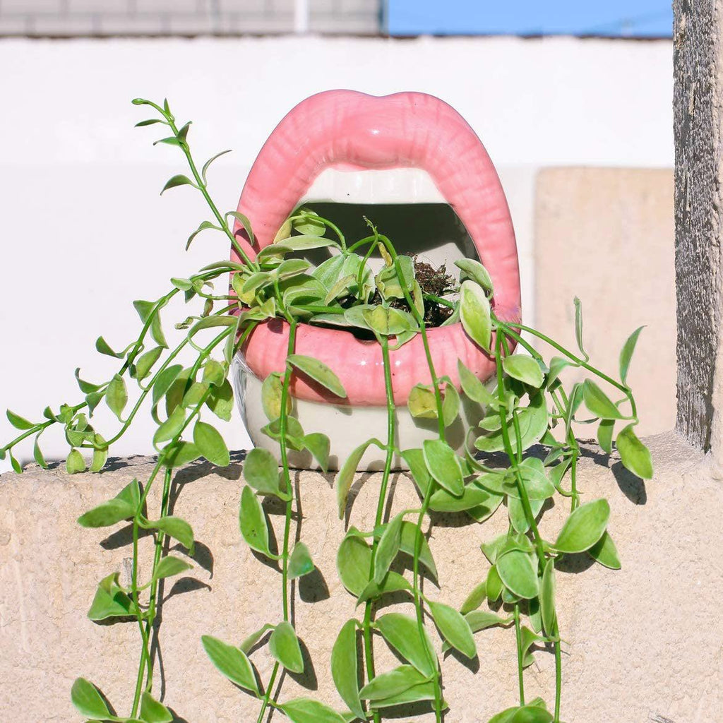 Avtoit | Lips Flower Pot