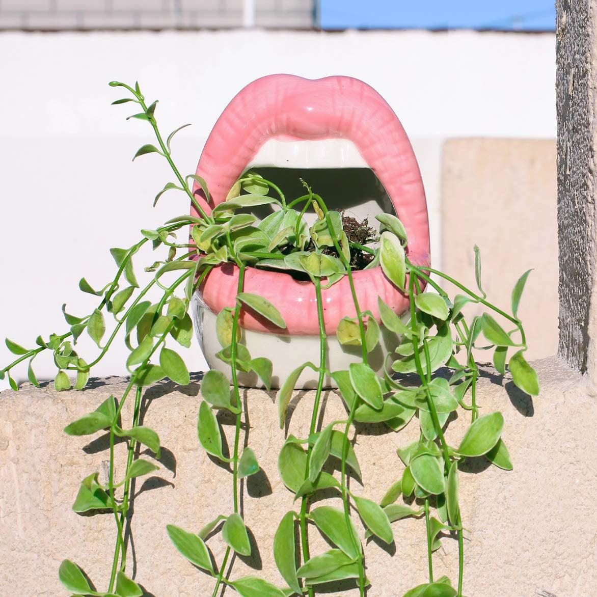 Avtoit | Lips Flower Pot