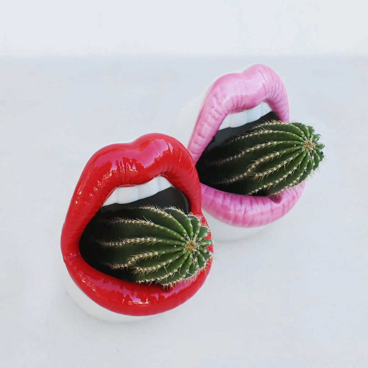 Avtoit | Lips Flower Pot