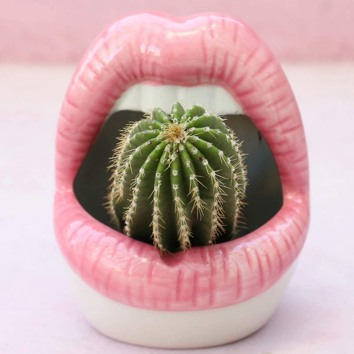 Avtoit | Lips Flower Pot