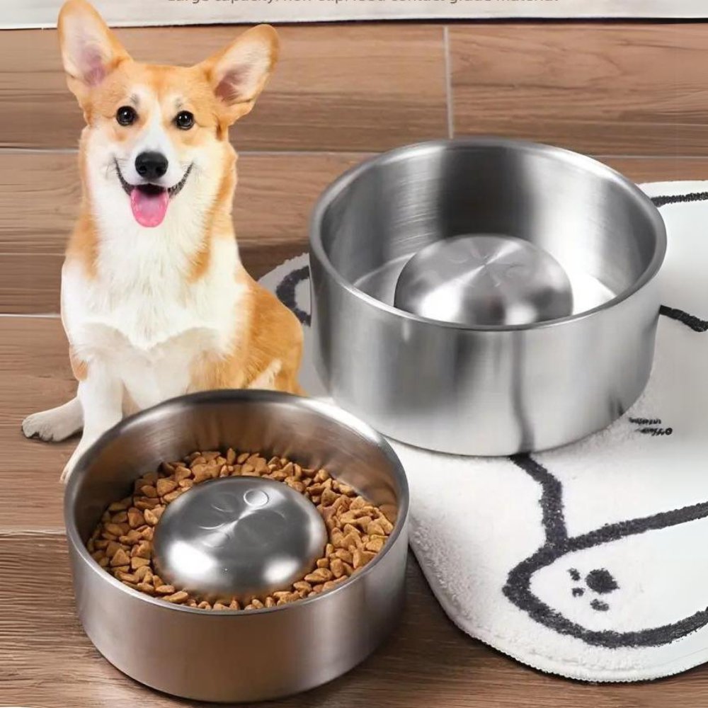MealPace • Dog Feeding Bowl Slow