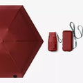 Avtoit | Compact Umbrella – Your secret weapon against the rain