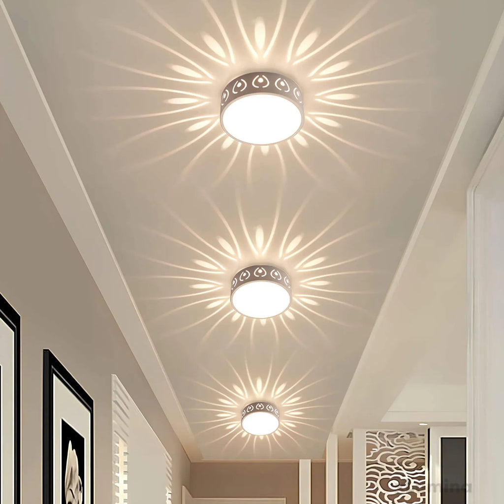 Avtoit | LED ceiling light - for entrance, hallway and balcony