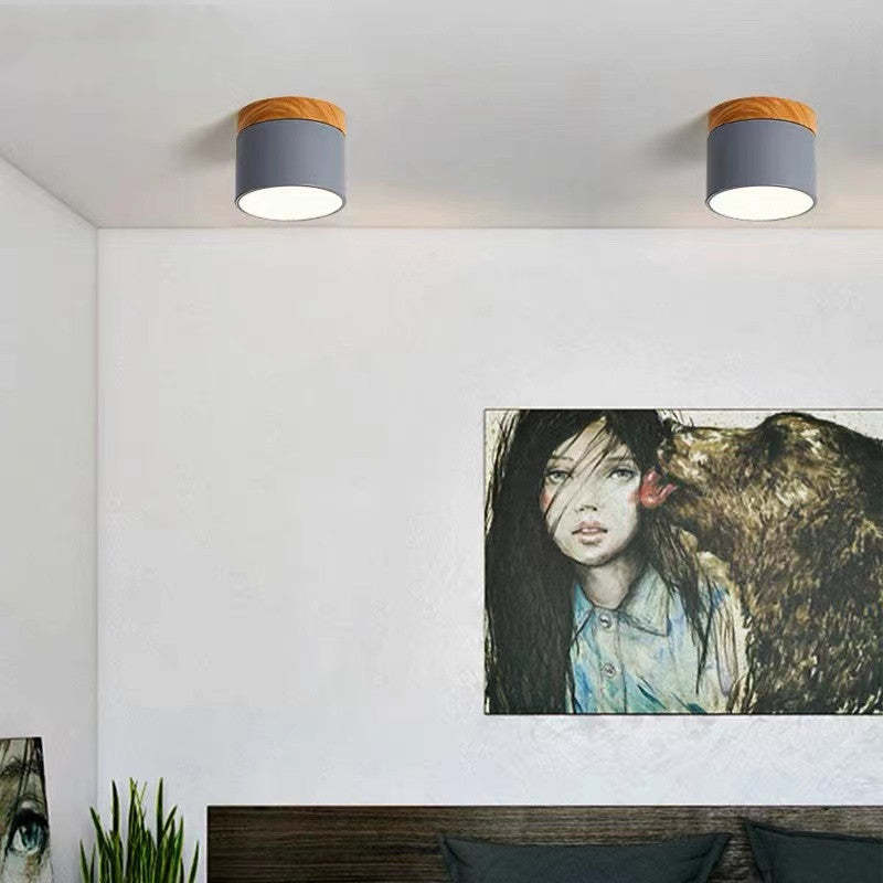 Avtoit | Morandi Style Modern LED Ceiling Lamp - LumiModo
