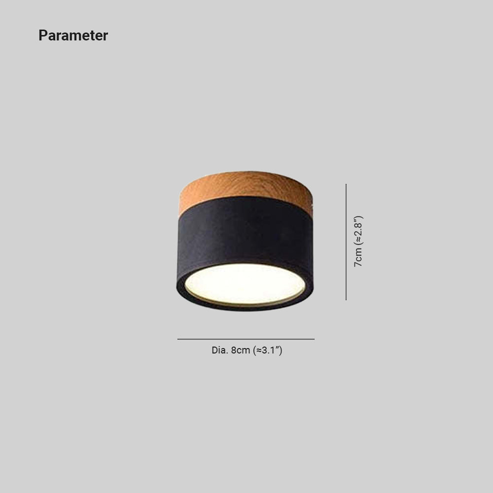 Avtoit | Morandi Style Modern LED Ceiling Lamp - LumiModo