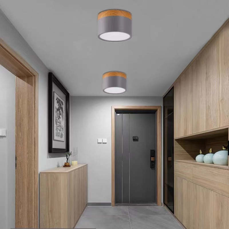 Avtoit | Morandi Style Modern LED Ceiling Lamp - LumiModo