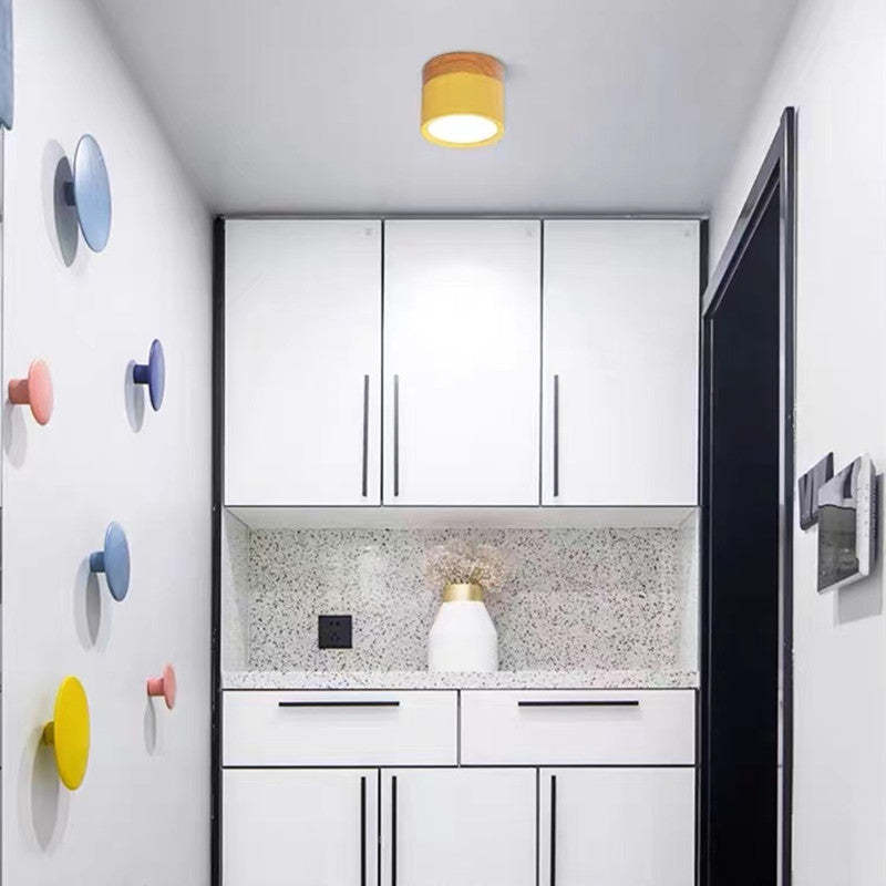 Avtoit | Morandi Style Modern LED Ceiling Light - LumiModo