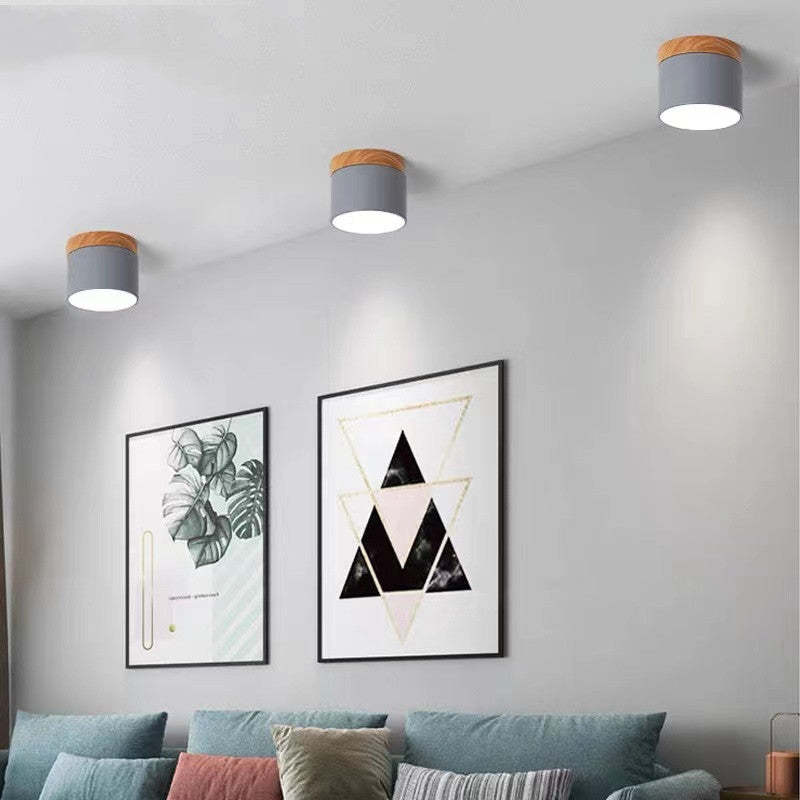 Avtoit | Morandi Style Modern LED Ceiling Light - LumiModo