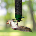 Avtoit | Squirrel Proof Bird Feeder | Heavy-Duty Metal, Multi-Feeding Ports & Ideal for Backyard Birdwatching