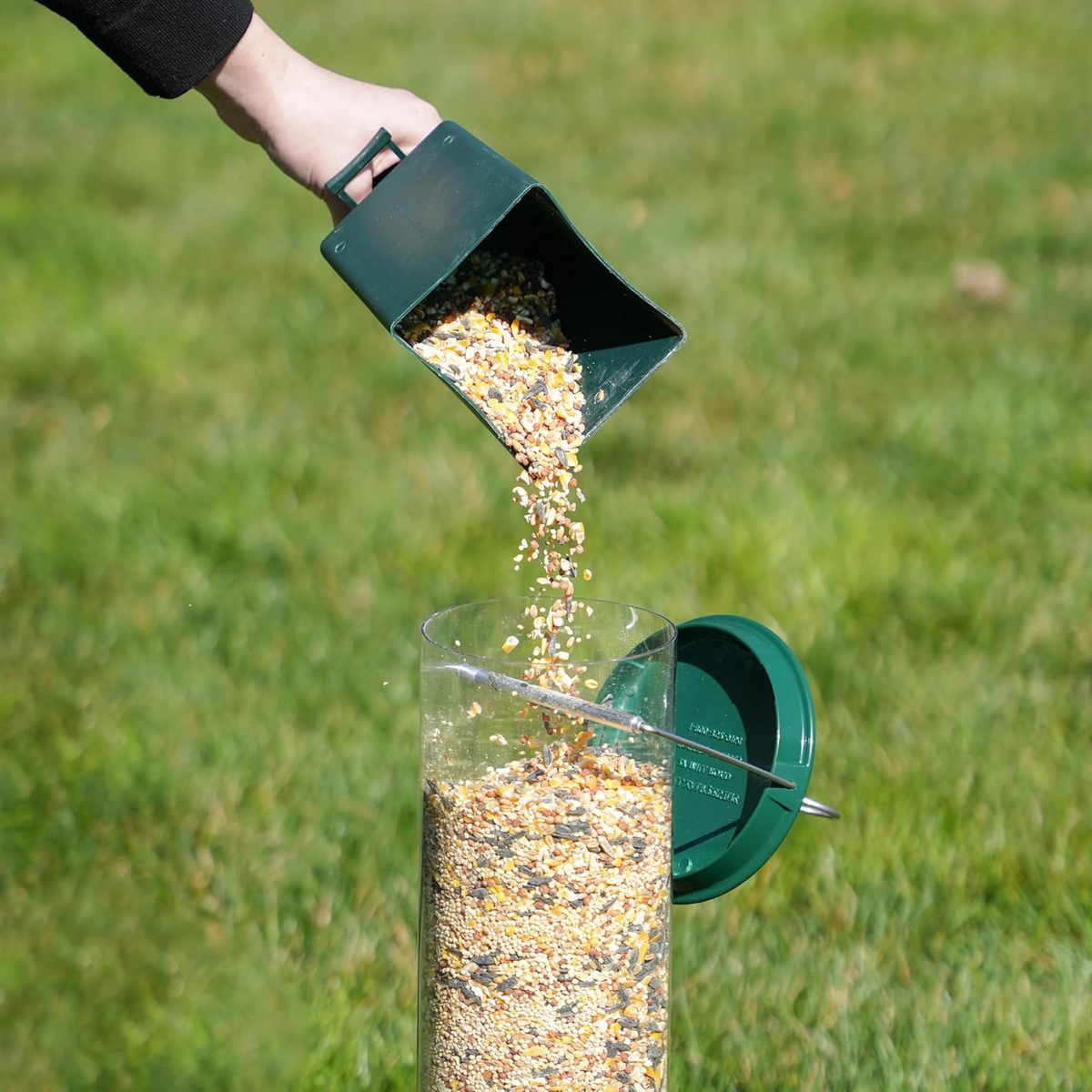 Avtoit | Squirrel Proof Bird Feeder | Heavy-Duty Metal, Multi-Feeding Ports & Ideal for Backyard Birdwatching