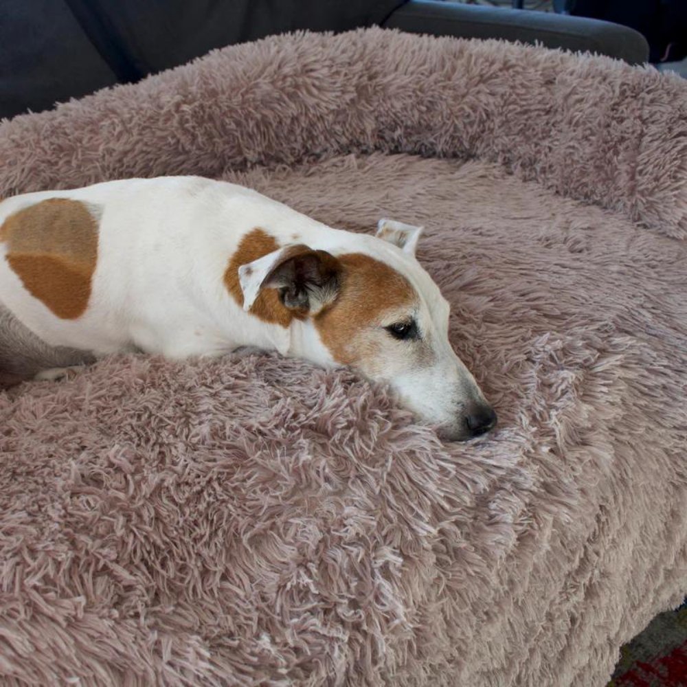 PawShield • Calming Dog Couch Cover