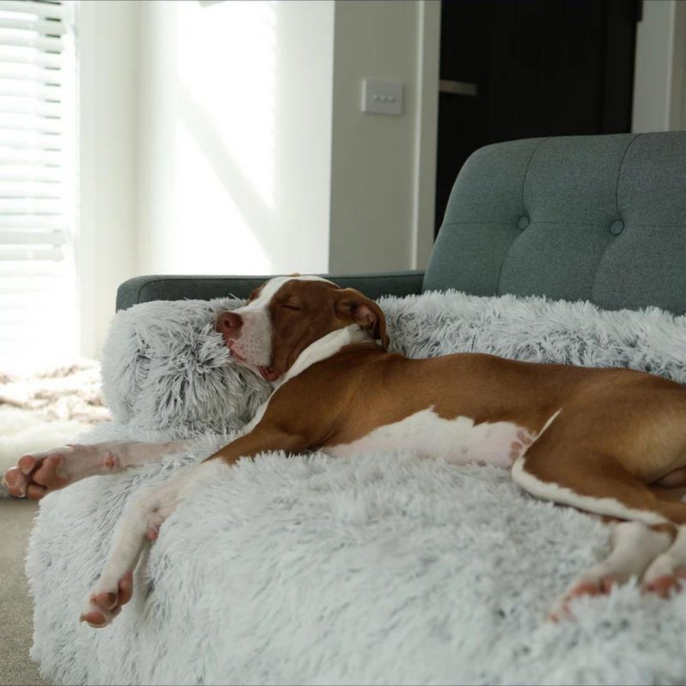 PawShield • Calming Dog Couch Cover