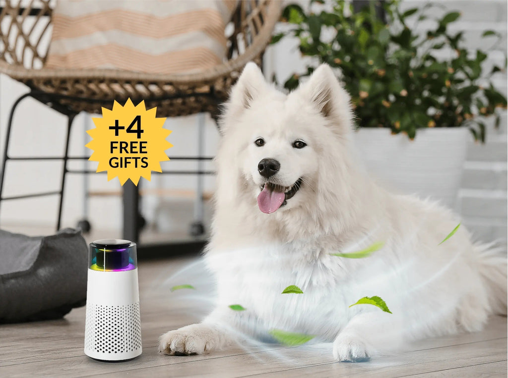 Avtoit | PetFresh Animal Scent Humidifier