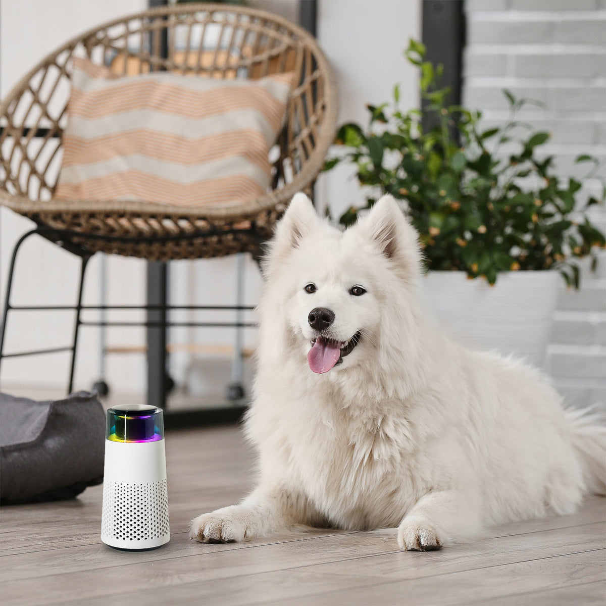 Avtoit | PetFresh Animal Scent Humidifier