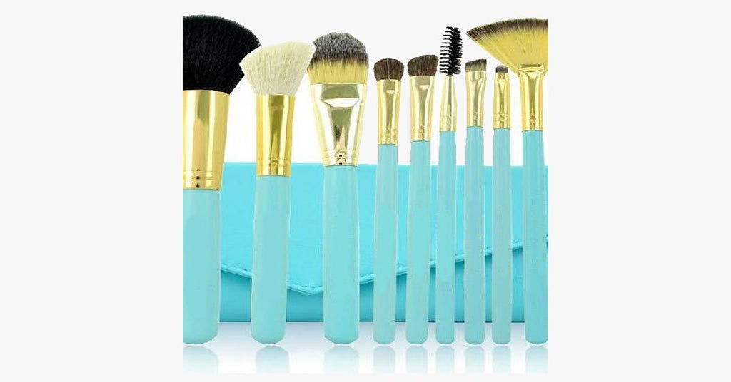 Avtoit | 10 pieces Arctic brush set