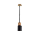 Avtoit | Designer Nordic Wood Base Pendant Lamp