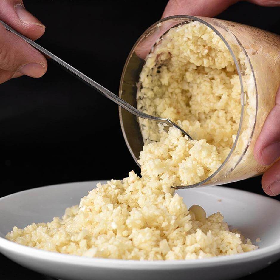 Avtoit | Stainless Steel Quick Garlic Vegetable Chopper