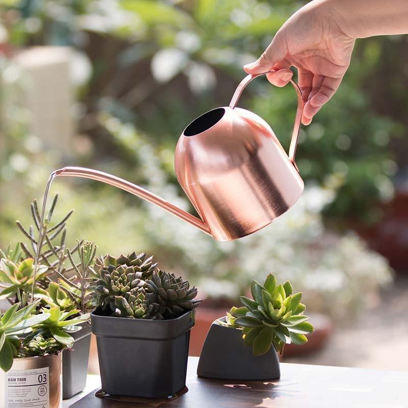 Avtoit | Stainless Steel Watering Can with Flexible Neck | Modern Design | Perfect Watering | Rustproof