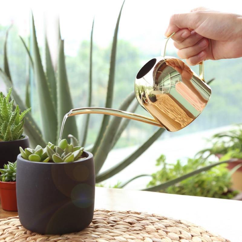 Avtoit | Stainless Steel Watering Can with Flexible Neck | Modern Design | Perfect Watering | Rustproof