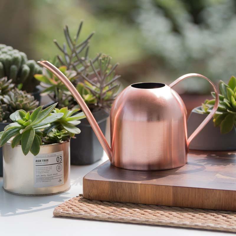 Avtoit | Stainless Steel Watering Can with Flexible Neck | Modern Design | Perfect Watering | Rustproof
