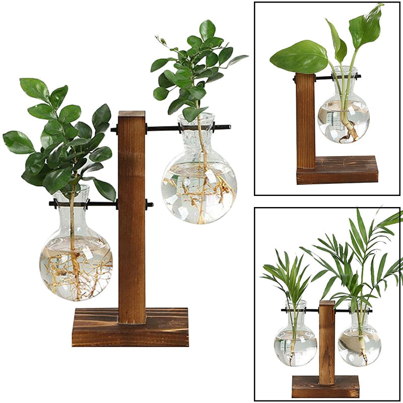 Avtoit | Terrarium Hydroponic Vintage Tabletop Vase