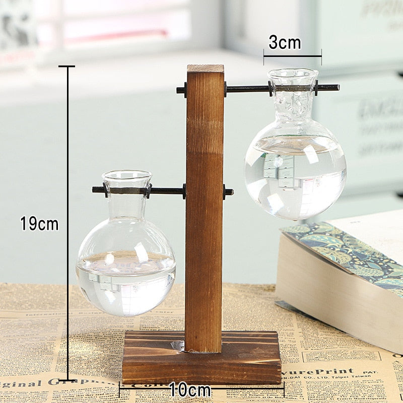 Avtoit | Terrarium Hydroponic Vintage Tabletop Vase