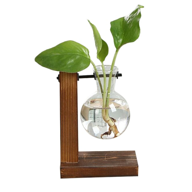Avtoit | Terrarium Hydroponic Vintage Tabletop Vase