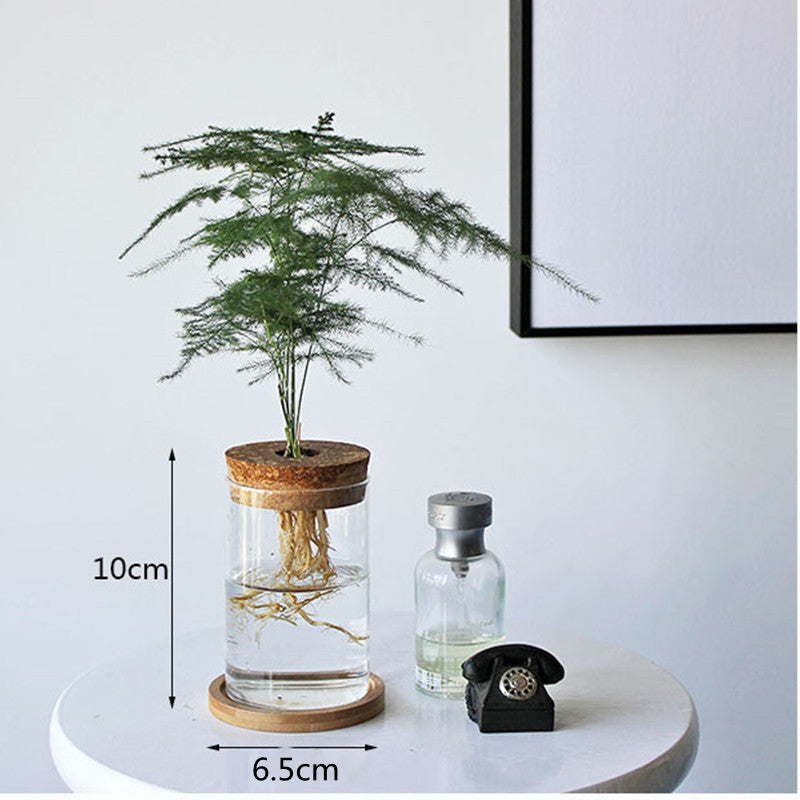 Avtoit | Nordic Transparent Glass Wooden Flower Vase